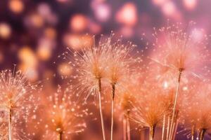 Gold and pink Fireworks and bokeh in New Year eve and copy space. Abstract background holiday. photo