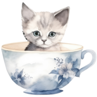 Cute Teacup Kitten watercolor t-shirt design, transparent background, png