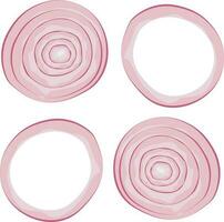 set of onion slice, onion ring vector illustration, red onion