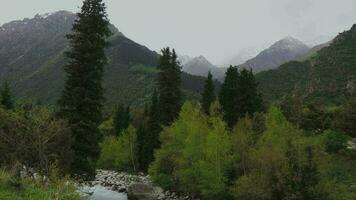 nublado clima en el montañas de Kirguistán video