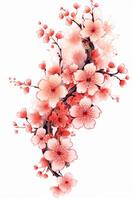 Copy space of Clipart of sakura blossoms. photo