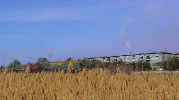 panoramisch keer bekeken van de stad van balkasj in Kazachstan video