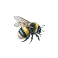 abeille fleurs collection ai génératif png