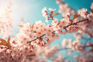 Cereza florecer primavera azul cielo antecedentes. ai generativo foto