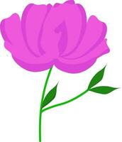 rosado Saqura flor vástago icono o símbolo. vector