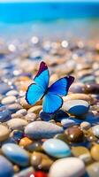 blue transparent pebbles on the beach. photo