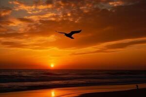 A flying seagull silhouette in sunset sky and beach. photo