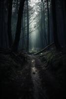 Dark forest, with a path in the middle, horror ambient, trees on the side. photo