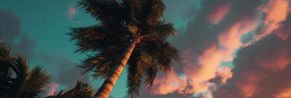 majestic palm tree with its lush green leaves gently swaying in the breeze. photo