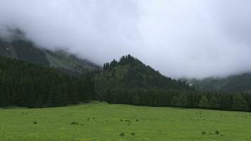 nublado clima en el montañas de Kirguistán video