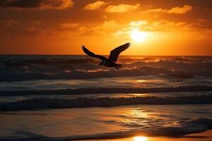 un volador Gaviota silueta en puesta de sol cielo y playa. ai generativo foto