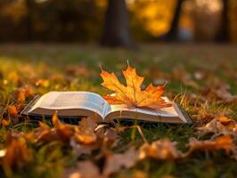 Book on a leaf with maple tree at background. photo