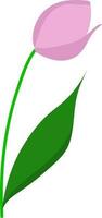 Tulip Flower Icon In Pink And Green Color. vector