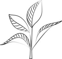 Isolated Leaves Stem Icon In Line Art. vector