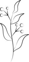 Berry With Leaves Stem Icon In Linear Style. vector