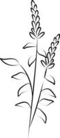 Thin Line Art Of Wild Flower Icon. vector