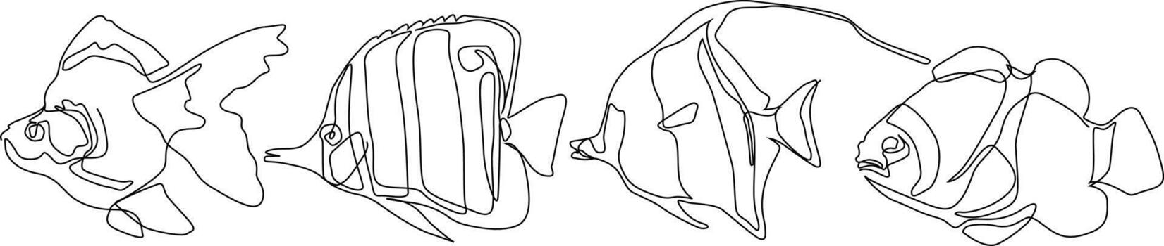 continuous line bundle set fish vector