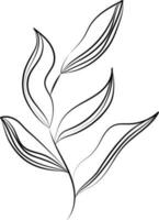 Thin Linear Illustration Of Leaves Stem Icon. vector