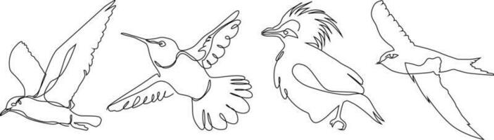 bird continuous line drawing bundle set vector