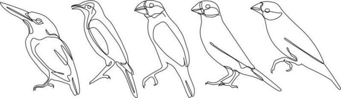 bird continuous line drawing bundle set vector