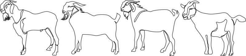 continuous line drawing of goat Bundle set vector