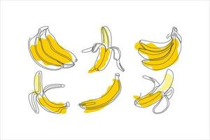 banana fruit continuous line art vector set illustration