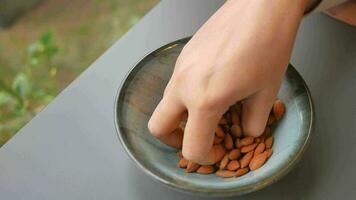 women hand pick almond nut top view , video