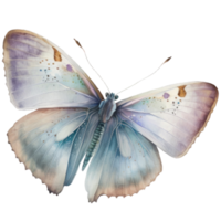 leggero farfalla clipart acquerello maglietta disegno, trasparente sfondo, ai generato png