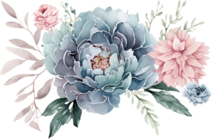 Dusty Blue and Pink Blush pink rose, ranunculus, dahlia, peony, hydrangea, juniper, protea flowers watercolor t-shirt design, transparent background, png