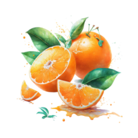 Watercolor oranges fruits. Citrus set with half ,slices and orange juice png