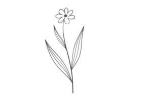 Wildplant line art illustration vector