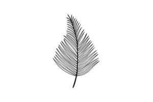Palm leaves line art illustration vector