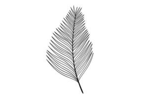 palma hojas línea Arte ilustración vector