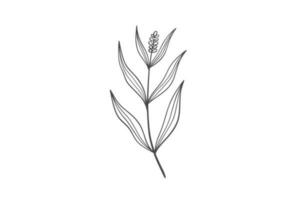 Wildplant line art illustration vector