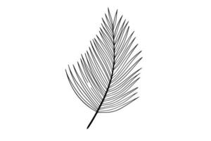 Palm leaves line art illustration vector