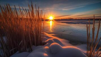 Sunset above the reeds at the edge of the lake. photo