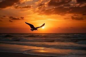 un volador Gaviota silueta en puesta de sol cielo y playa. ai generativo foto