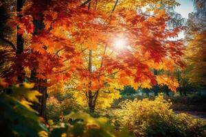 otoño floral panorámico antecedentes. vistoso amarillo y rojo arce follaje en un soleado día santo ligero. otoñal parque. ai generativo foto