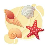 Sea shell on a beach sand. Starfish and different seashells top view. Collection set. Vector illustration isolated on white.