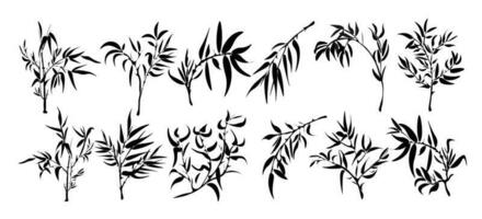 A Set Of Bamboo Branches With A Bamboo Silhouette. A blade of grass, a branch, plants of Asia. vector