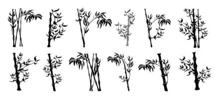 A Set Of Bamboo Branches With A Bamboo Silhouette. A blade of grass, a branch, plants of Asia. vector