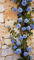 alpinismo azul rosas en el pared soleado clima. ai generativo foto