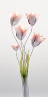 Glass texture, flower stems, petals, tulip flowers, white background, clean and transparent. AI generative photo