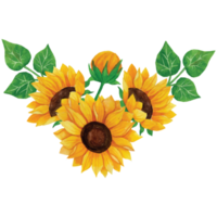 Sunflower Bouquet Clip art Element Transparent Background png