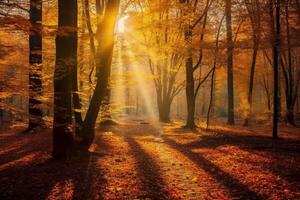 The most beautiful red autumn forest in the world. photo