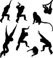 Vector illustrations monkey set silhouette isolated on white background