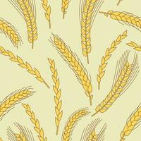 Background Vector flat illustration wheat pattern set banner template