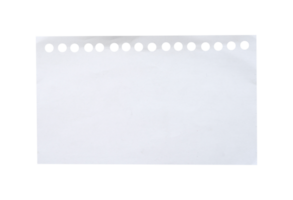 Vide blanc esquisser papier feuilles png