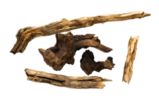 Group of dead wood pieces element png