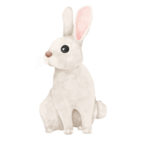 Watercolor illustration of cute white rabbit. png